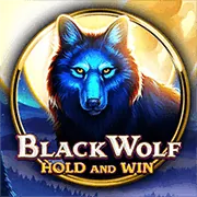 Người chia bài Blackjack và các lá bài